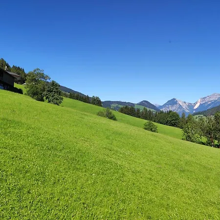 Apartament Schneiderhaeusl Alpbach