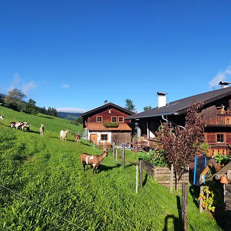 Schneiderhaeusl 아파트 *