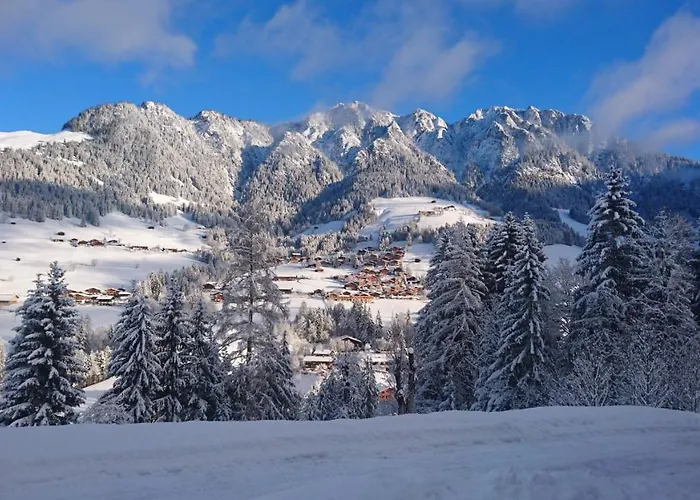 Schneiderhaeusl Daire Alpbach