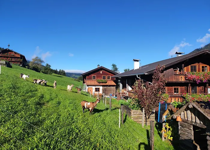 Schneiderhaeusl Daire *