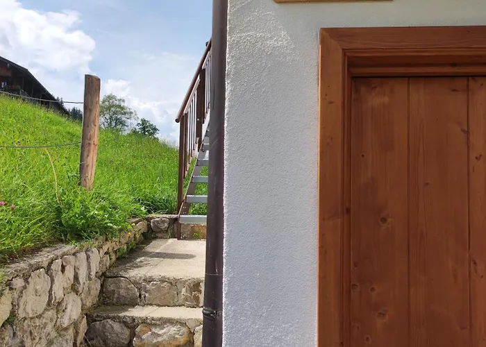 Schneiderhaeusl Daire *